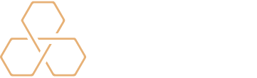 Logo Apex Partners